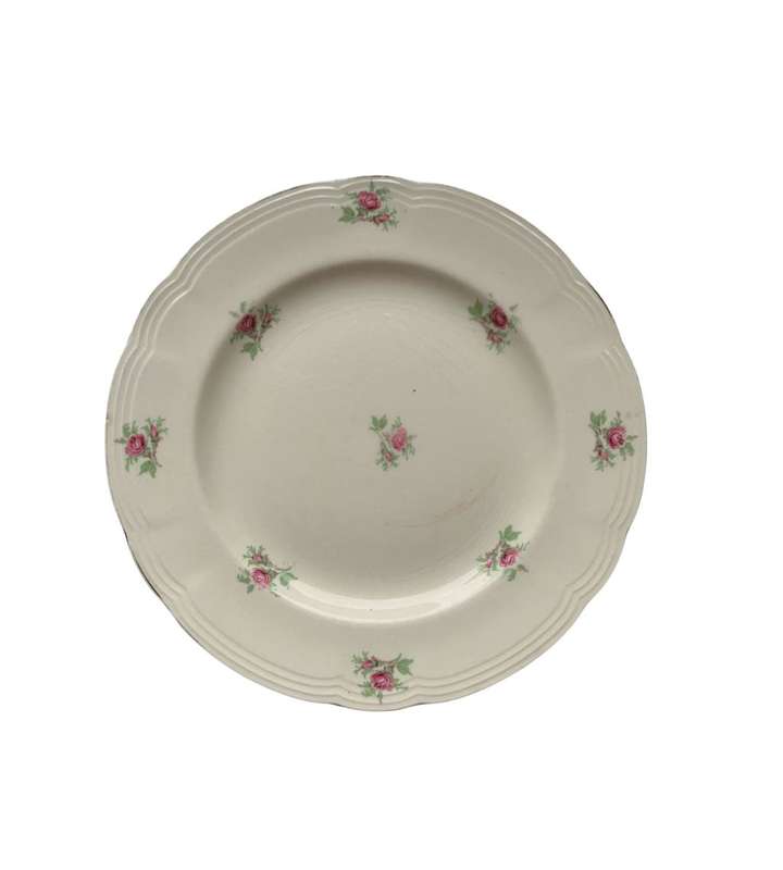 Vintage Cottage Core Collection: 15-Piece Rustic Antique Shabby Chic China Set with Plate Hangers