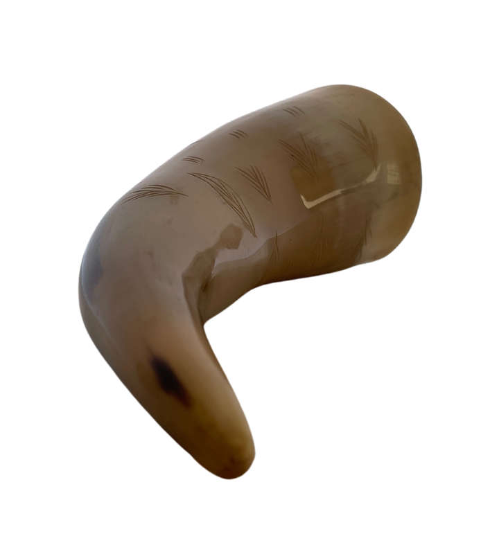 Handcrafted Polished Horn Maraca with Engraved Grass and Leaves