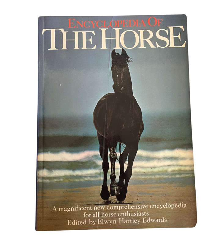 Collection of 20 Equestrian Books - Huge Bargain!