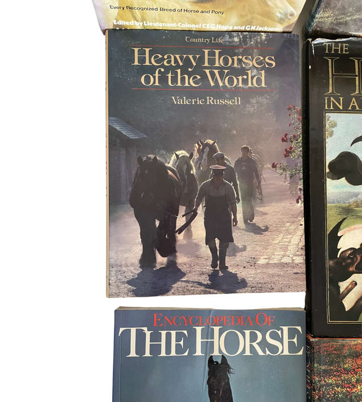 Collection of 20 Equestrian Books - Huge Bargain!