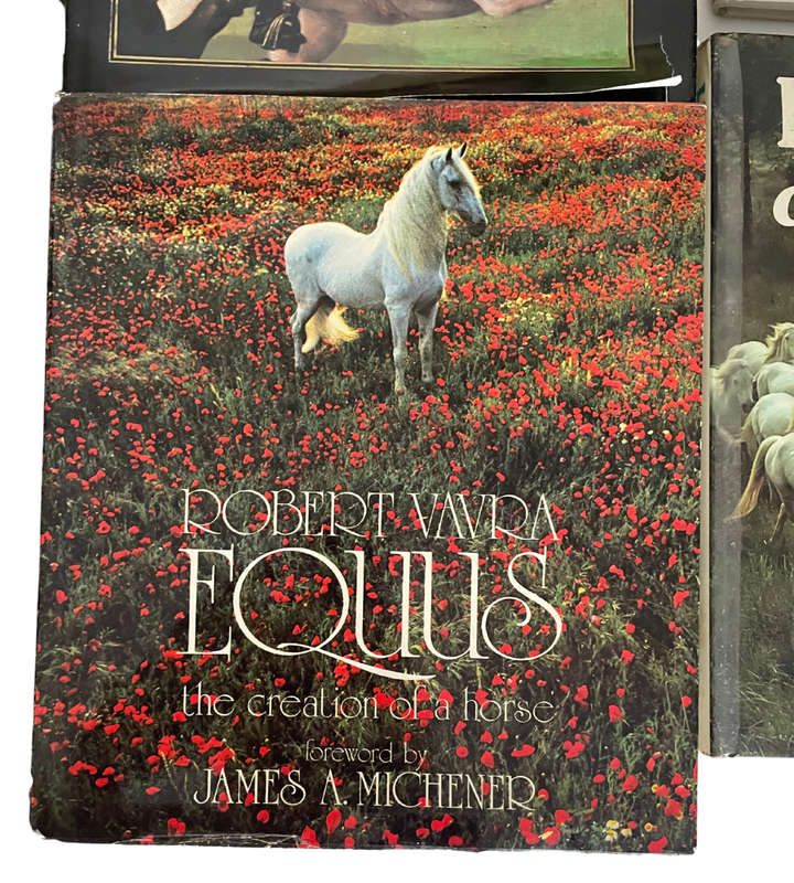 Collection of 20 Equestrian Books - Huge Bargain!
