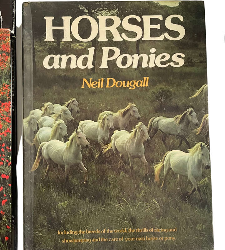 Collection of 20 Equestrian Books - Huge Bargain!