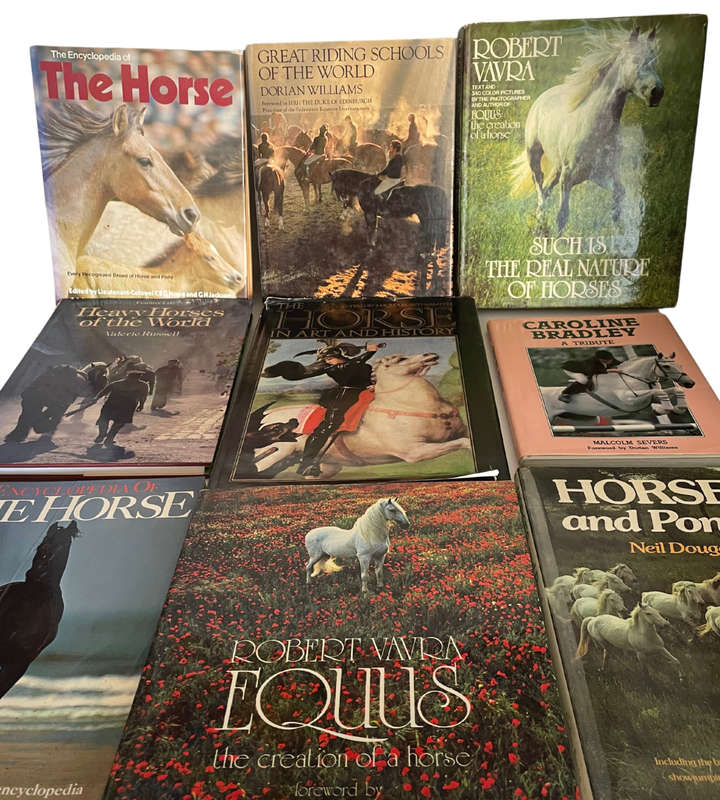 Collection of 20 Equestrian Books - Huge Bargain!