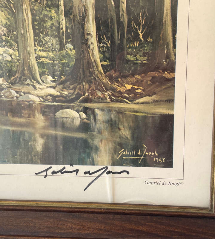Reduced! Gabriel de Jongh Signed Print 'Kirstenbosch' 39x54.5cm - Cracked Glass