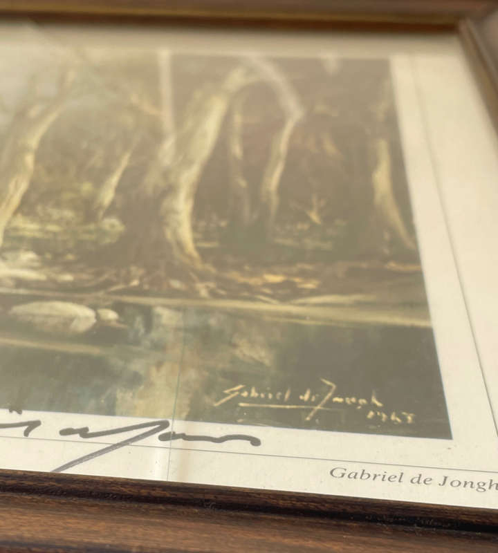 Reduced! Gabriel de Jongh Signed Print 'Kirstenbosch' 39x54.5cm - Cracked Glass