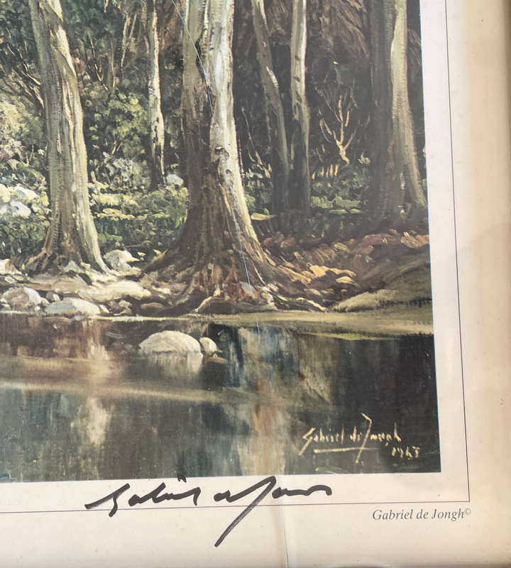 Reduced! Gabriel de Jongh Signed Print 'Kirstenbosch' 39x54.5cm - Cracked Glass
