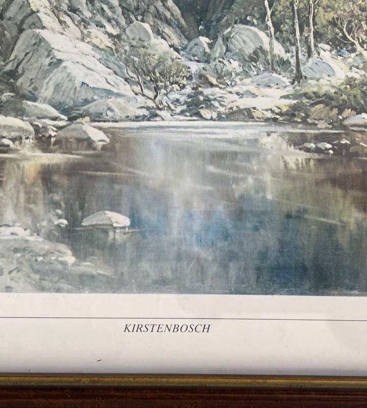 Reduced! Gabriel de Jongh Signed Print 'Kirstenbosch' 39x54.5cm - Cracked Glass