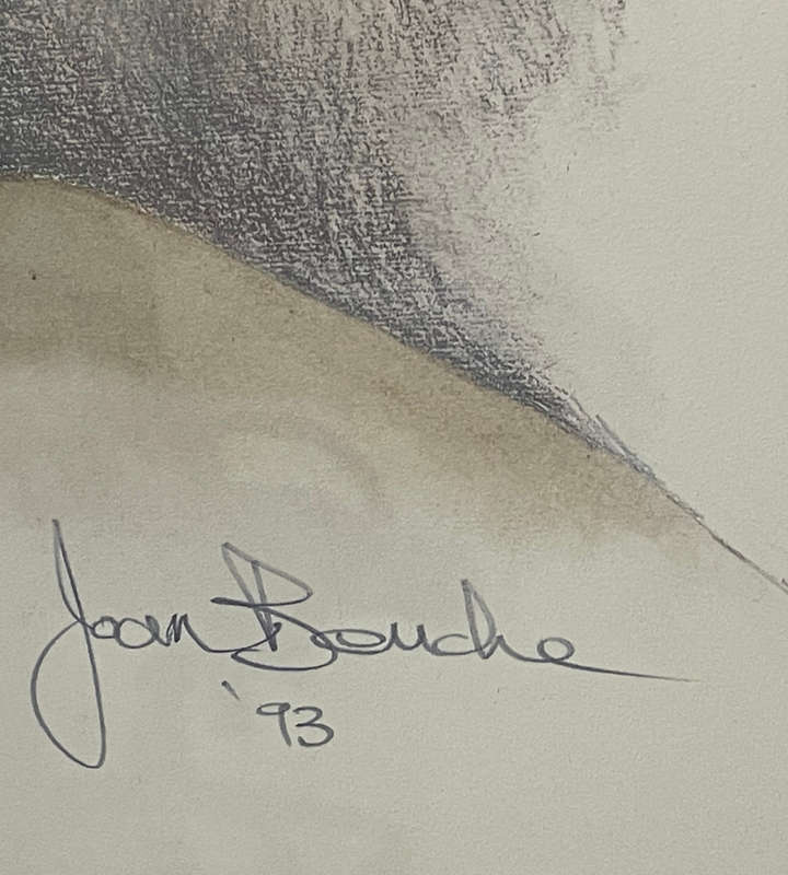 Joan Beuche Lioness Print (1993) - Signed, Framed, 69.5cm x 53cm