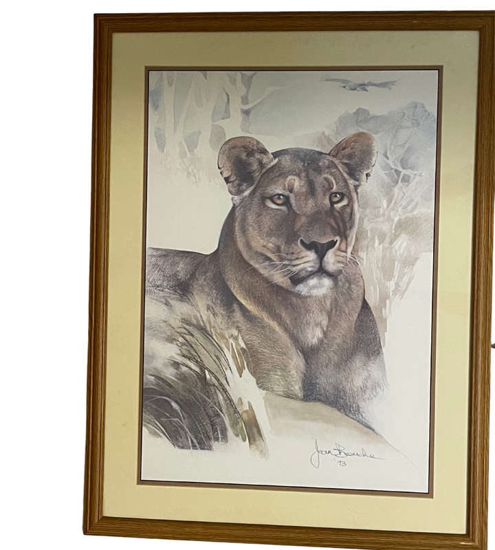 Joan Beuche Lioness Print (1993) - Signed, Framed, 69.5cm x 53cm