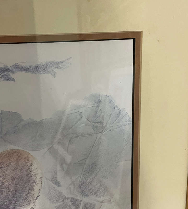 Joan Beuche Lioness Print (1993) - Signed, Framed, 69.5cm x 53cm
