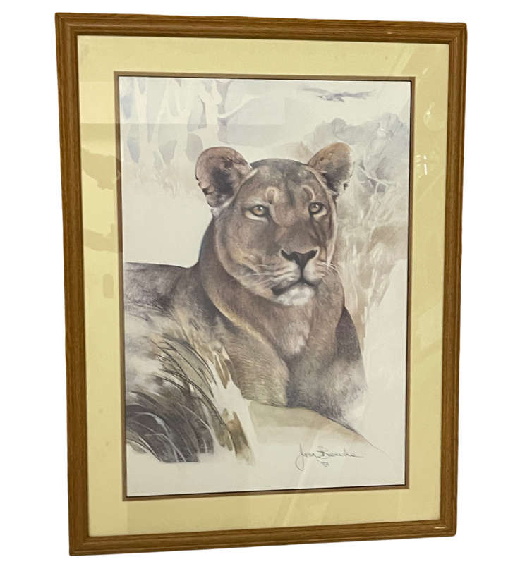 Joan Beuche Lioness Print (1993) - Signed, Framed, 69.5cm x 53cm