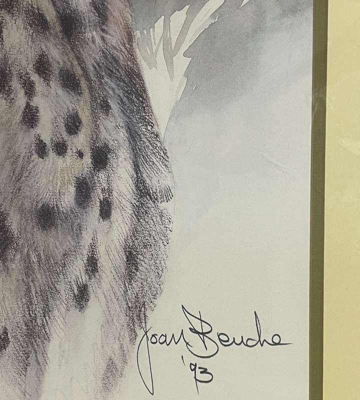 Joan Beuche Cheetah Print (1993) - Signed, Framed, 69.5cm x 53cm