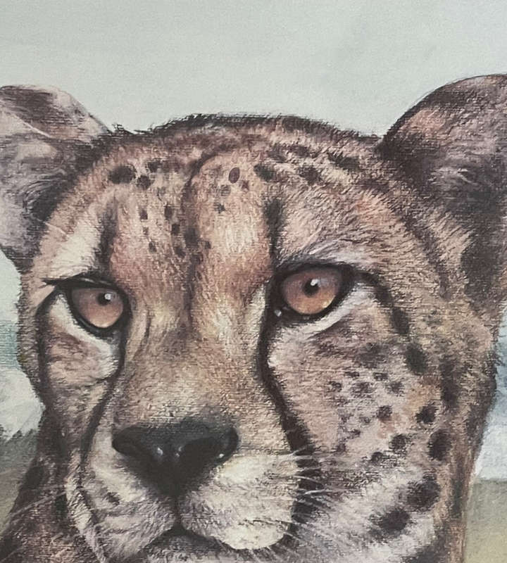 Joan Beuche Cheetah Print (1993) - Signed, Framed, 69.5cm x 53cm