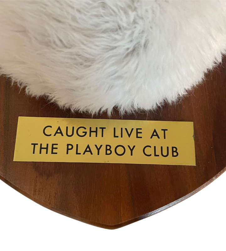 Collectible Playboy Bunny Tail Walnut Plaque  Hugh Hefner Collectibles, Vermillion Missouri