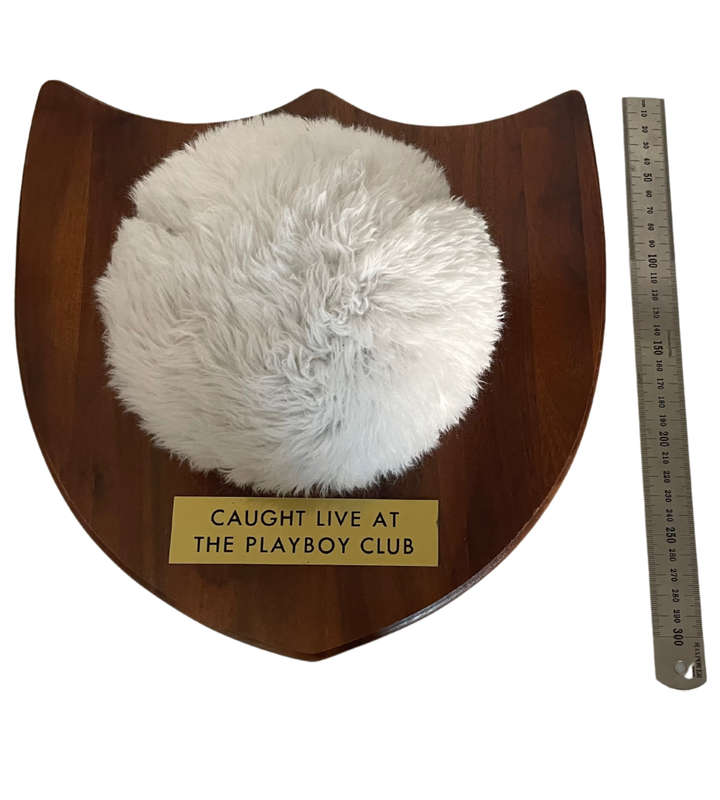 Collectible Playboy Bunny Tail Walnut Plaque  Hugh Hefner Collectibles, Vermillion Missouri
