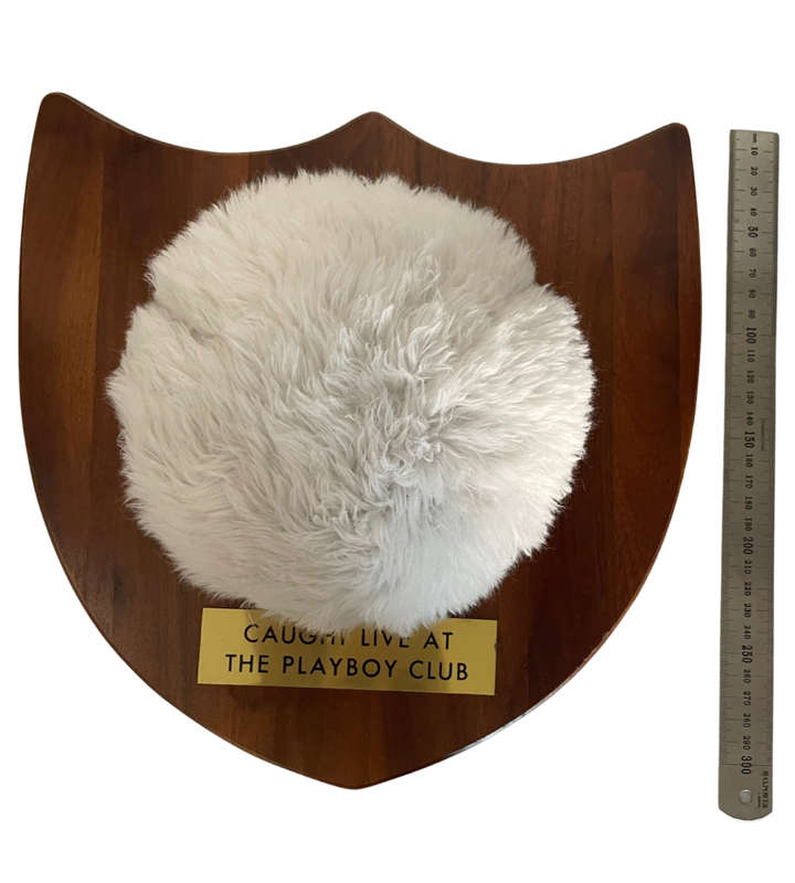 Collectible Playboy Bunny Tail Walnut Plaque  Hugh Hefner Collectibles, Vermillion Missouri