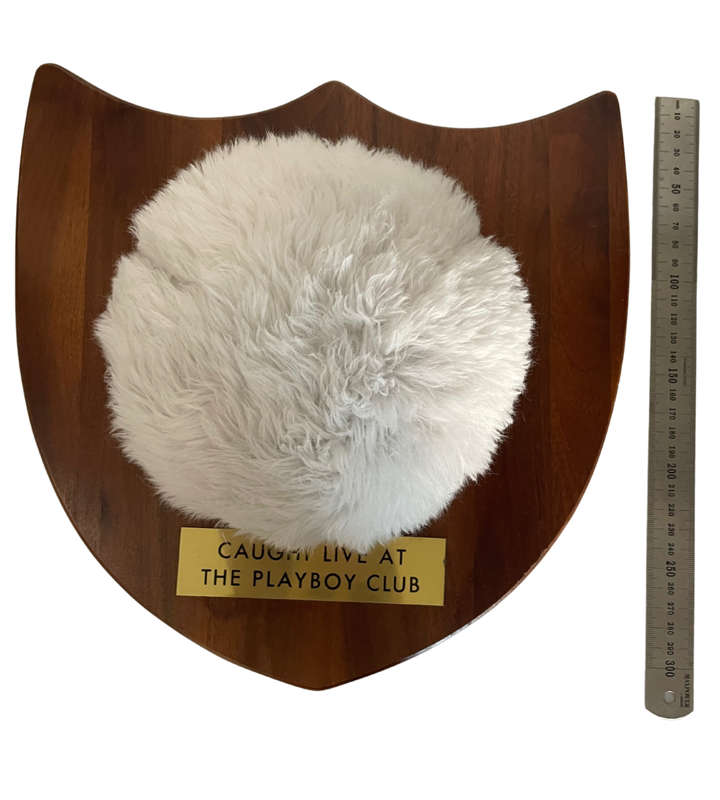 Collectible Playboy Bunny Tail Walnut Plaque  Hugh Hefner Collectibles, Vermillion Missouri