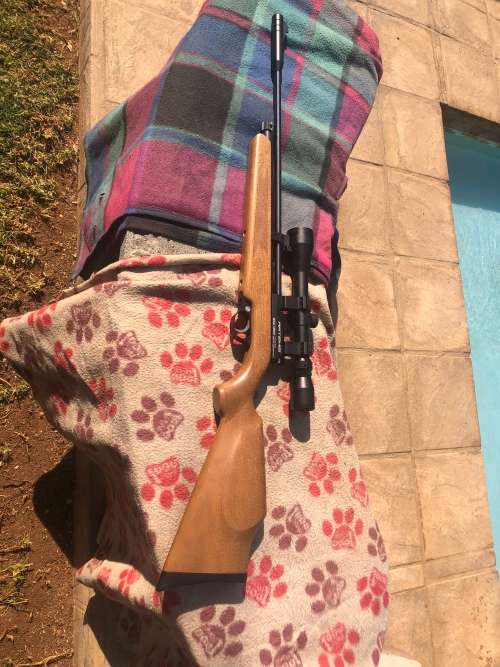 Artemis Air Rifle
