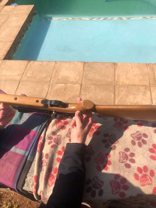 Artemis Air Rifle