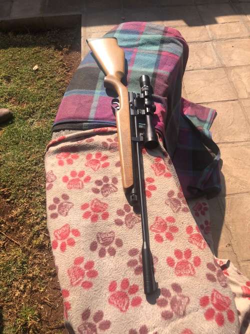 Artemis Air Rifle
