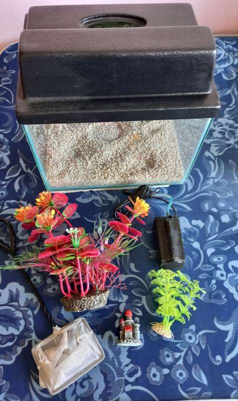 SMALL FISH TANK
