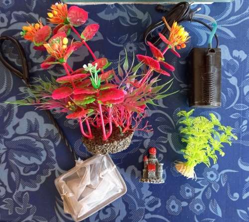 SMALL FISH TANK