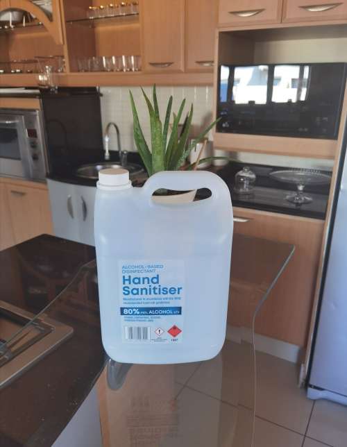 Hand Sanitizer