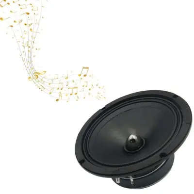 Pervoi CTC-1681 set of 2 mids 16 cm, 580 W