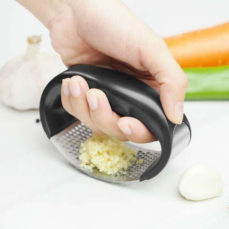 Stainless Steel Garlic Press