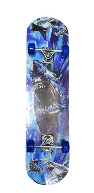 Skateboard for big kid / adult