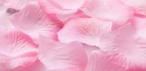 100 SILKY ROSE PETALS - TABLE CONFETTI