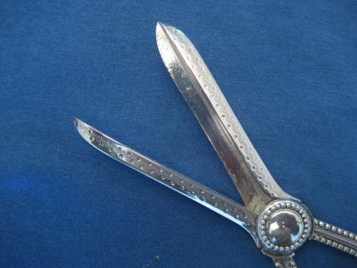 DECORATIVE WALKER & HALL SILVER PLATE GRAPE SCISSORS ANTIQUE BRIGHT CUT
