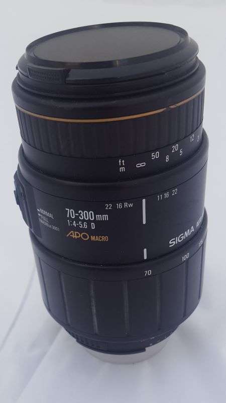Sigma 70 - 300 lens for Nikon DSLR