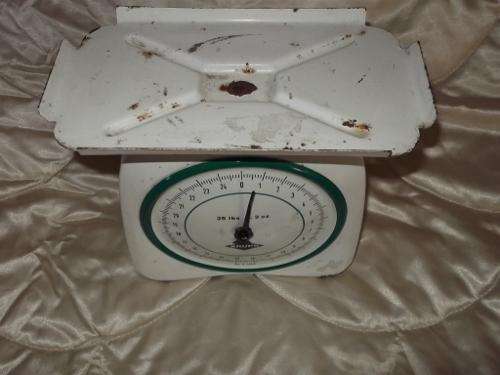 Kitchen scale