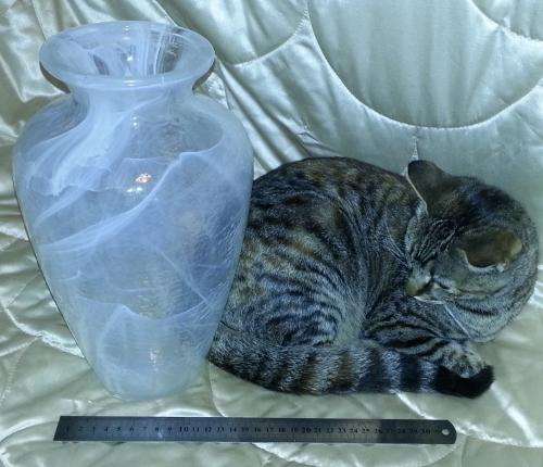 See through white glass vase - beautiful piece for the home!
