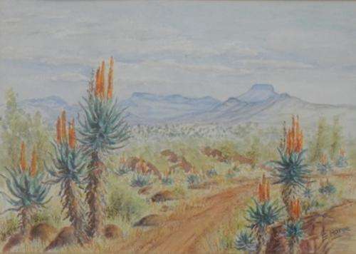 Beautiful SA Landscape by E Horne