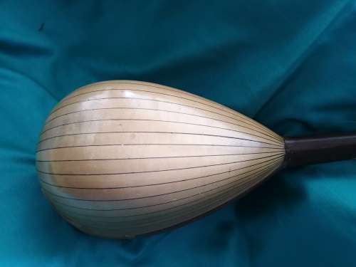 Neopolitan Mandolin