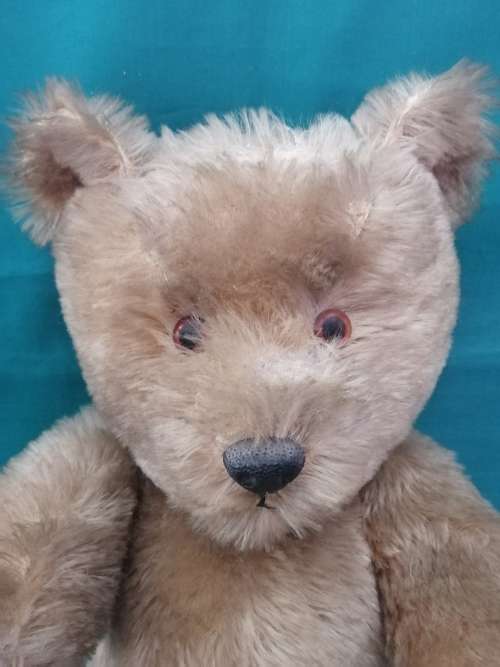 Vintage Collectable Teddy Bear 50cm