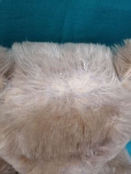 Vintage Collectable Teddy Bear 50cm