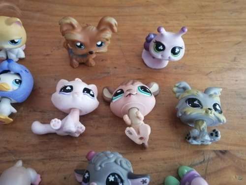 Lot of 24 various characters from The Littlest Pet Shop Collection
