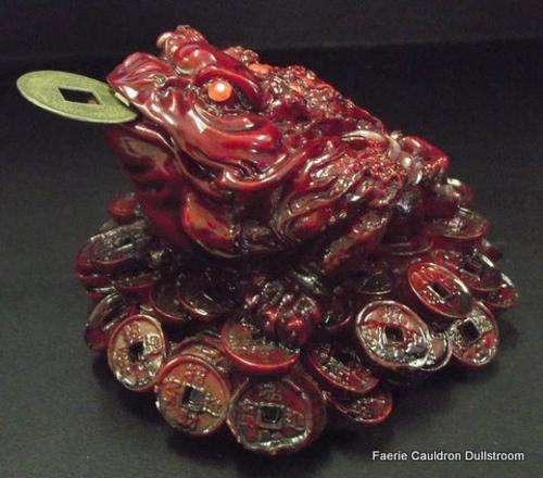 Medium Money Frog