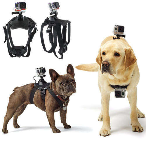 Generic Action Camera Dog Harness