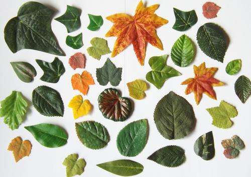 craft kit fabric leaves