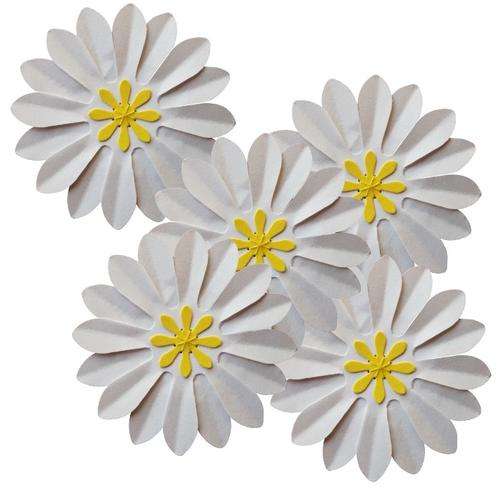 10x White and Yellow Flowers