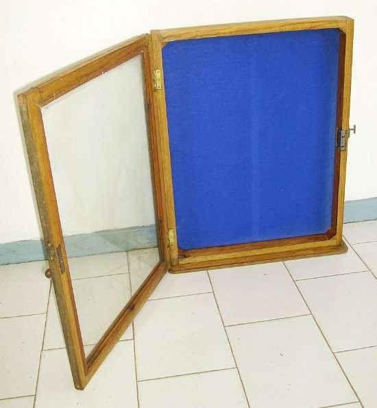 Aumy - Shop Display Case (Oak)