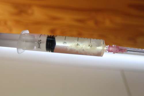 Spore Syringe Liquid Culture Magic Mushroom