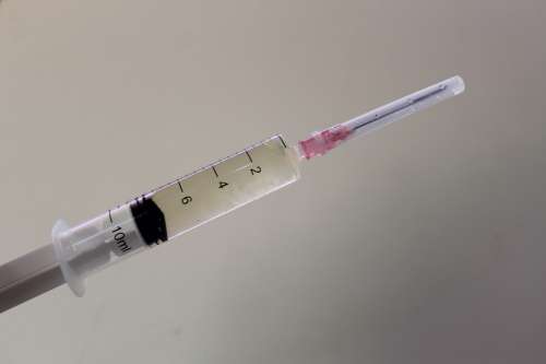 Spore Syringe Liquid Culture Magic Mushroom