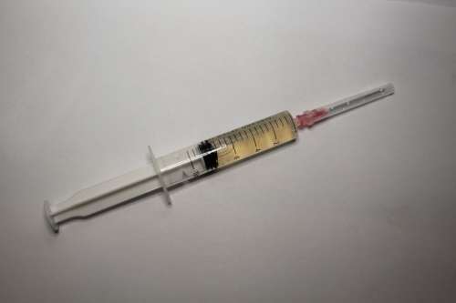 Spore Syringe Liquid Culture Magic Mushroom