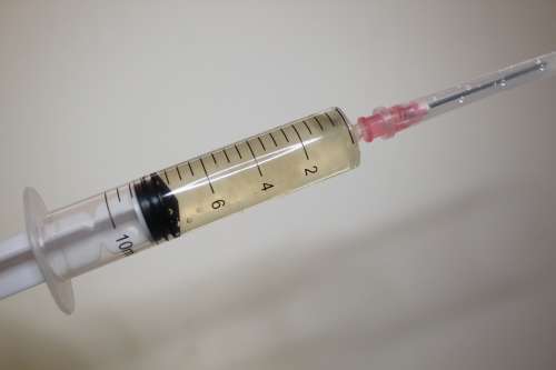 Spore Syringe Liquid Culture Magic Mushroom