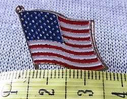 American Flag / Pin